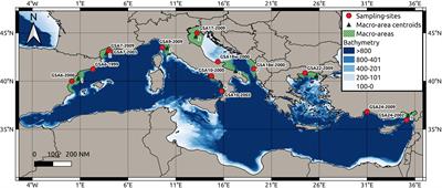 A multidisciplinary approach to describe population structure of Solea solea in the Mediterranean Sea